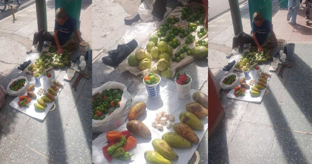 Diseño sin título (32)