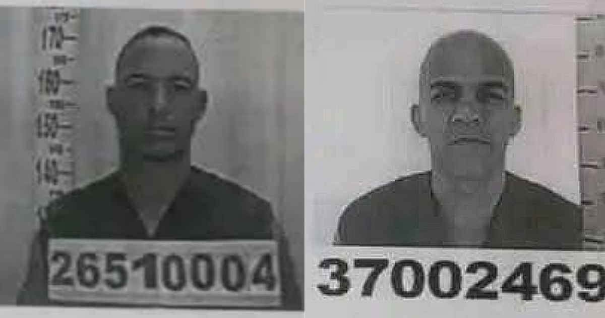 Diseño sin título (37)