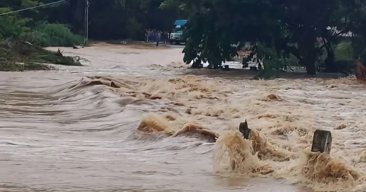 Diseño sin título (61)