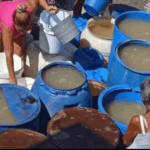 Diseño sin título (84)