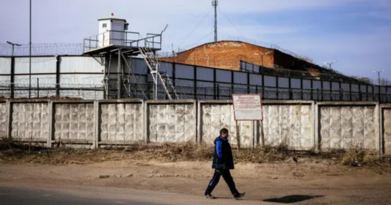 Diseño sin título - 2025-12-20T043210.473