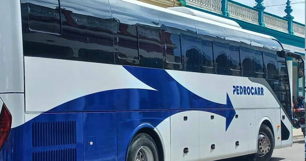 Diseño sin título - 2025-12-21T004414.158