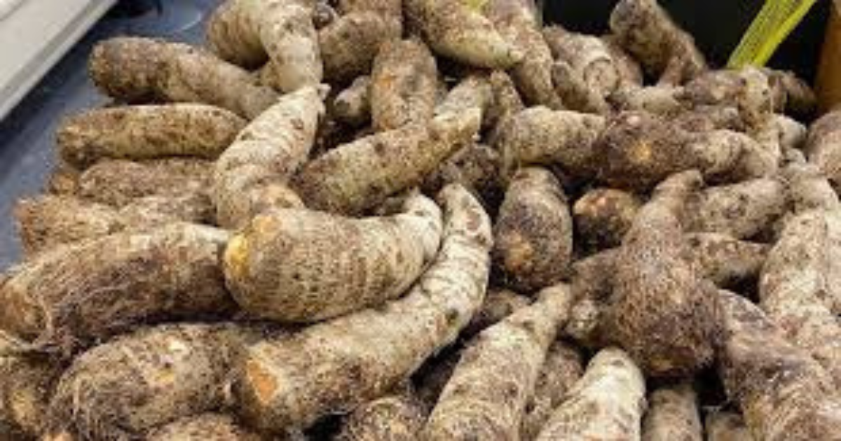 Diseño sin título (8)