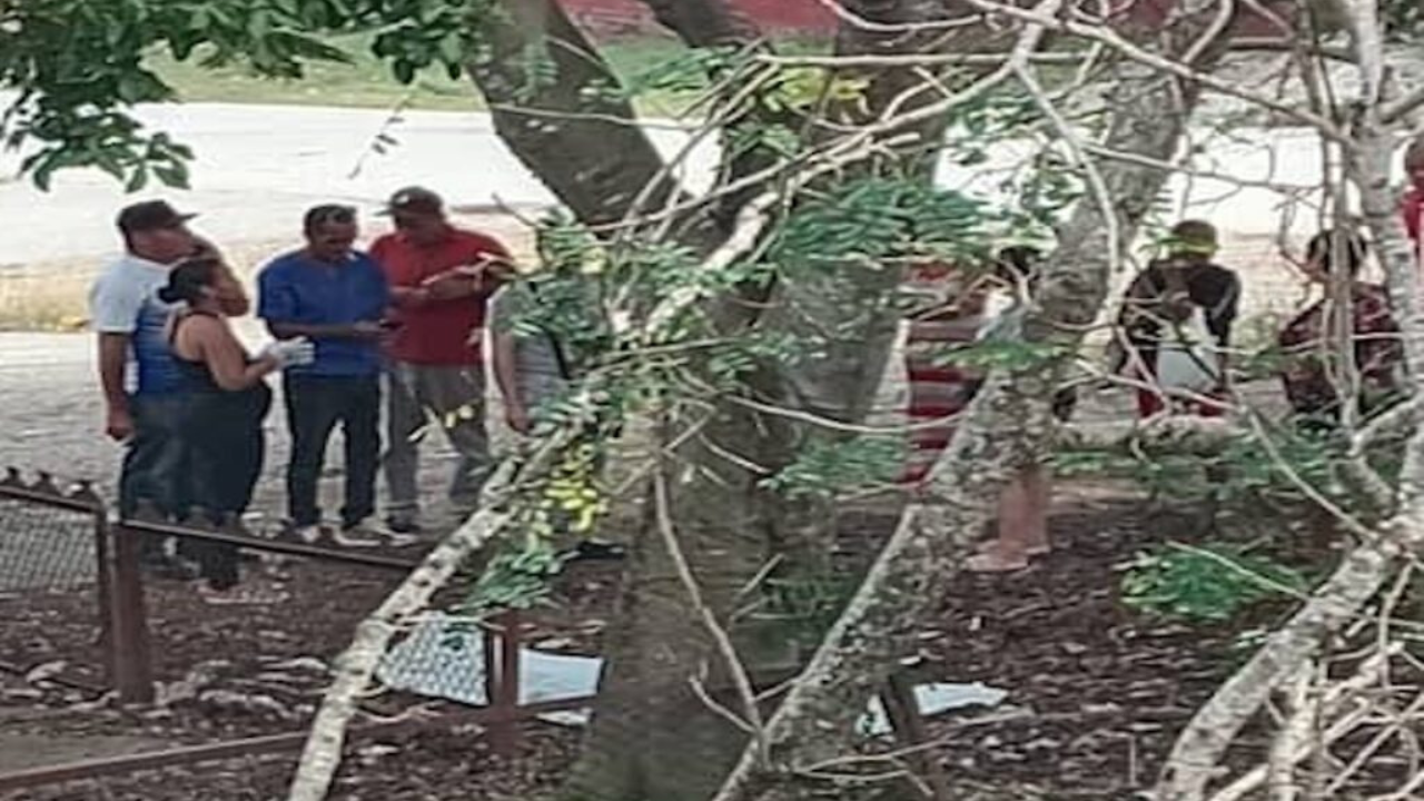 Hallazgo macabro en Holguín Encuentran cuerpo sin vida en la zona de La Plaquita