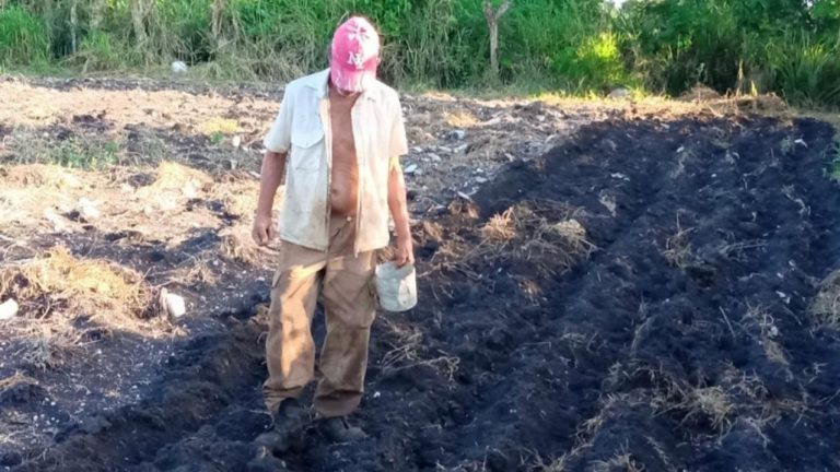 El colapso energético empuja a los agricultores cubanos a liquidar sus tierras a precios de remate