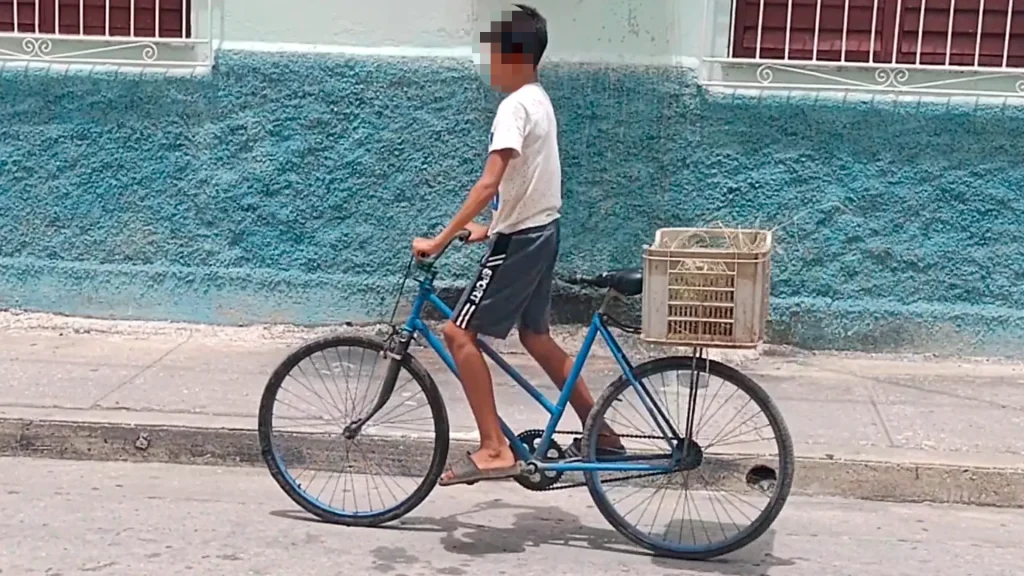 Un niño vendiendo productos del agro en Holguín (Foto: CubaNet)