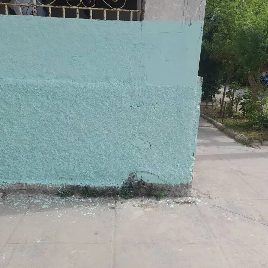 La pared después de pintada (Foto del autor)