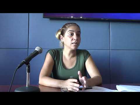 Ofrecen detalles sobre condiciones actuales de sostenibilidad del servicio eléctrico en Santiago