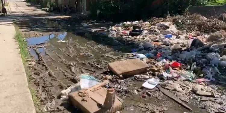 Salud pública en Cuba enfrenta crisis por brote simultáneo de dengue, Oropouche e influenza