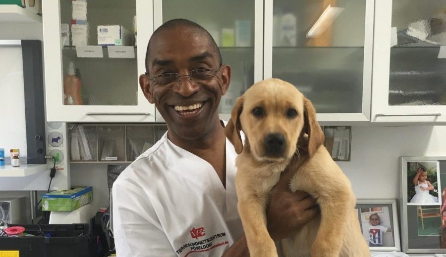 De repartir pizzas en Berlín a liderar la odontología veterinaria en Europa: el éxodo de talento que el régimen cubano ahoga