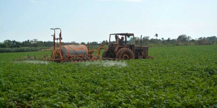 El régimen cubano flexibiliza la mecanización agrícola pero retiene el control hegemónico del sector