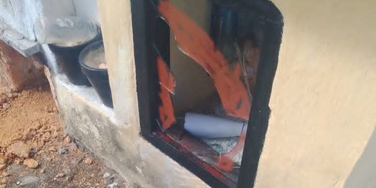 Familiares denuncian la desaparición de Alelí Pérez Alfonso tras dirigirse a prisión en Mayabeque