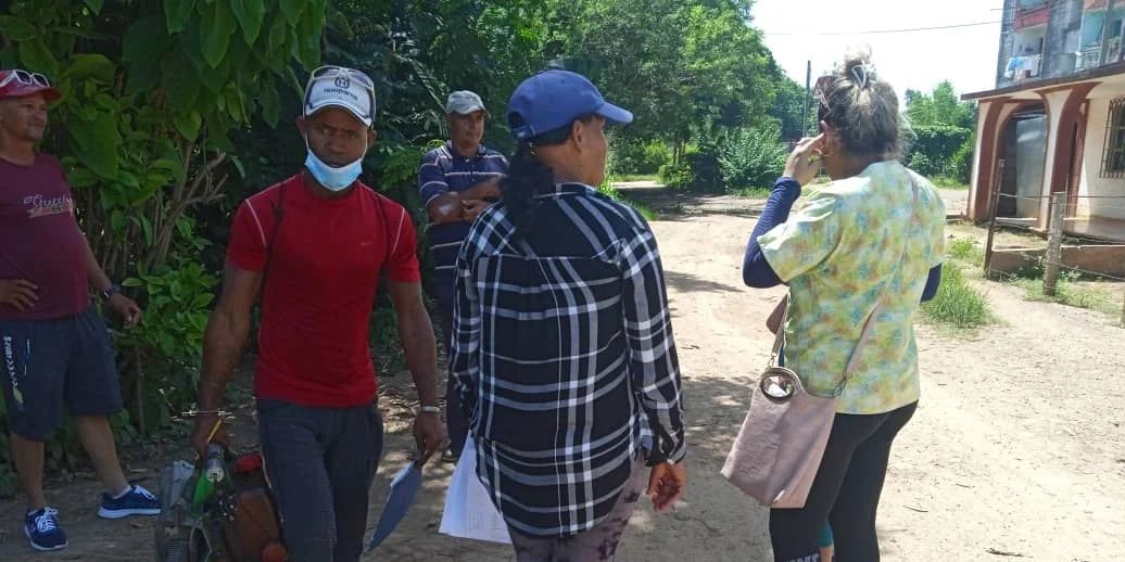 Salud pública en jaque: Régimen cubano confirma brote de chikungunya en Matanzas amid colapso del sistema sanitario