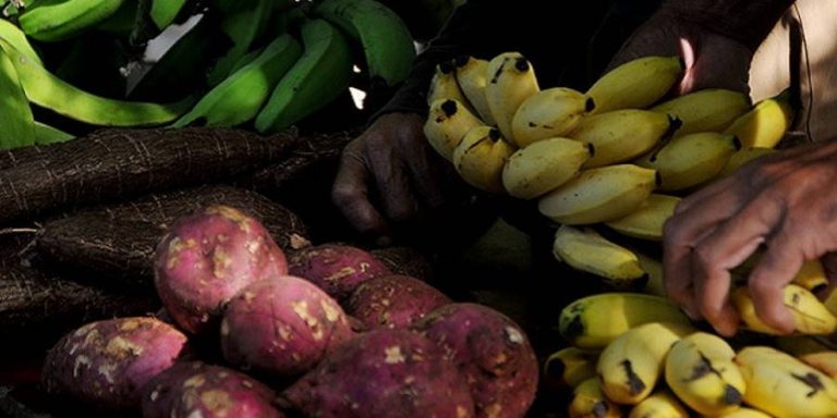 El régimen cubano admite \»excedentes\» de alimentos por colapso turístico mientras la población padece hambre