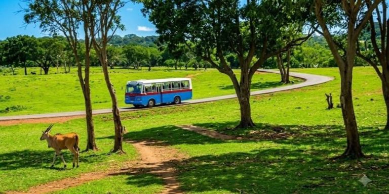 El Zoológico Nacional de Cuba reabre sin aclarar el suministro de agua en medio de la profunda crisis energética