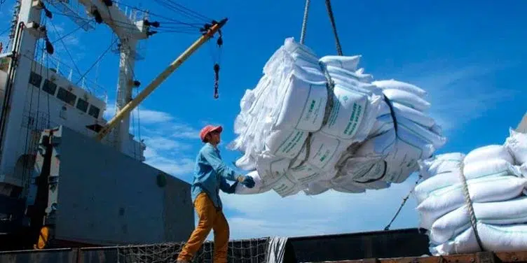 El desplome de las exportaciones ahonda la asfixia financiera del régimen de La Habana