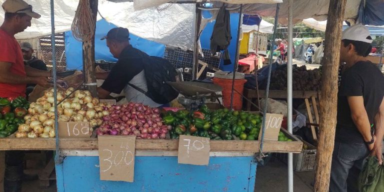 El hambre sin sabor: la crisis alimentaria en Cuba convierte el placer de comer en un lujo inalcanzable
