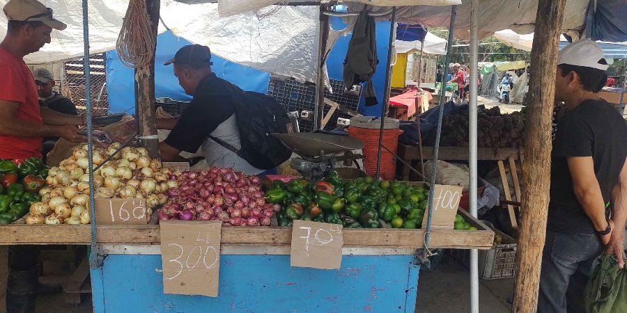 El hambre sin sabor: la crisis alimentaria en Cuba convierte el placer de comer en un lujo inalcanzable