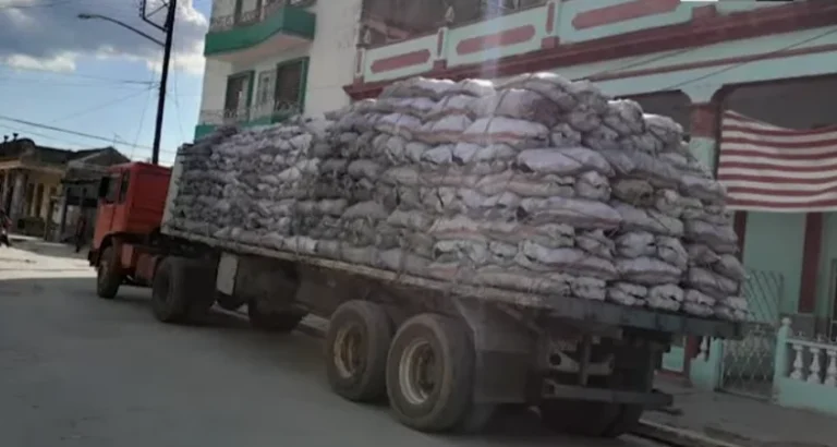 Informe revela explotación de más de 60.000 reclusos en Cuba para sostener exportaciones del régimen