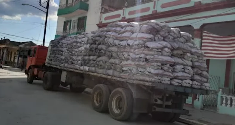 Informe revela explotación de más de 60.000 reclusos en Cuba para sostener exportaciones del régimen