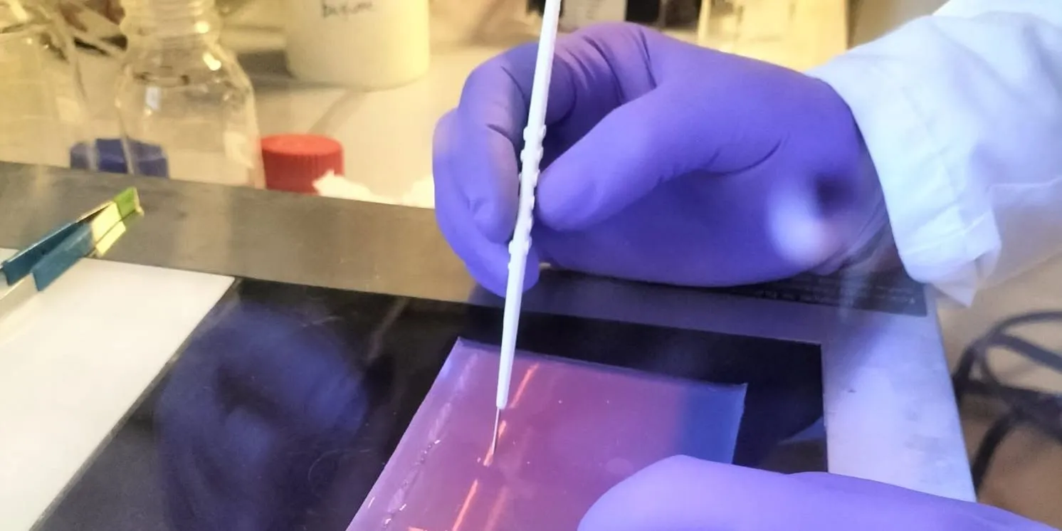 Científicos cubanos confirman por primera vez la presencia de microalga tóxica causante de ciguatera en aguas de la isla