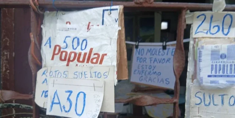 El régimen de La Habana admite que más del 30 % de la población cubana ha padecido dengue o chikunguña