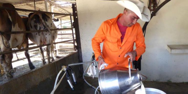 Más de 100.000 niños en Cuba quedan sin su ración diaria de leche por el colapso logístico del régimen