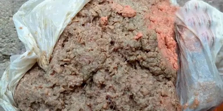 Holguín: Régimen distribuye picadillo en descomposición destinado a la alimentación infantil