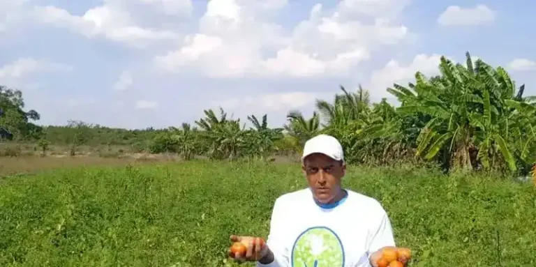 Dictadura cubana detiene a activistas ecologistas de la ONG Naturpaz en Pinar del Río