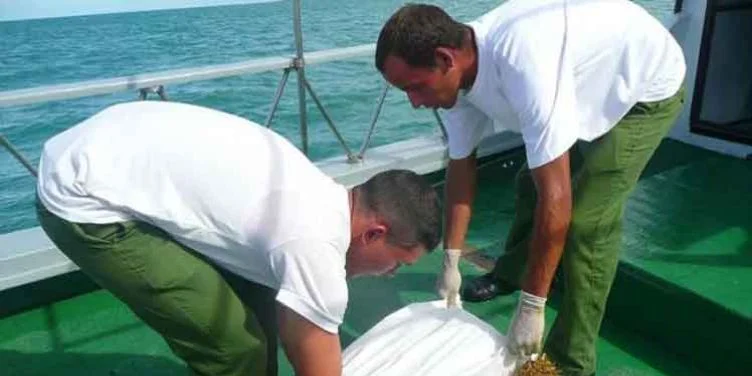 El régimen de La Habana militariza el litoral sur de Granma ante el auge de recalos de drogas y la crisis económica
