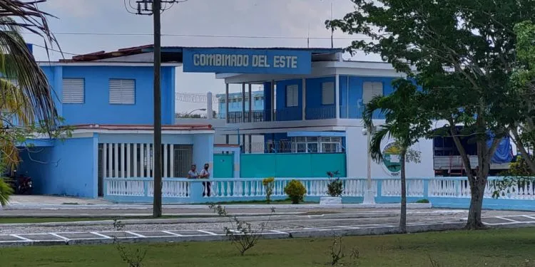 Dictadura cubana registra al menos 24 muertes bajo custodia estatal en el primer semestre de 2025